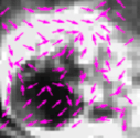 Screenshot 2024-10-25 at 3.09.52 PM